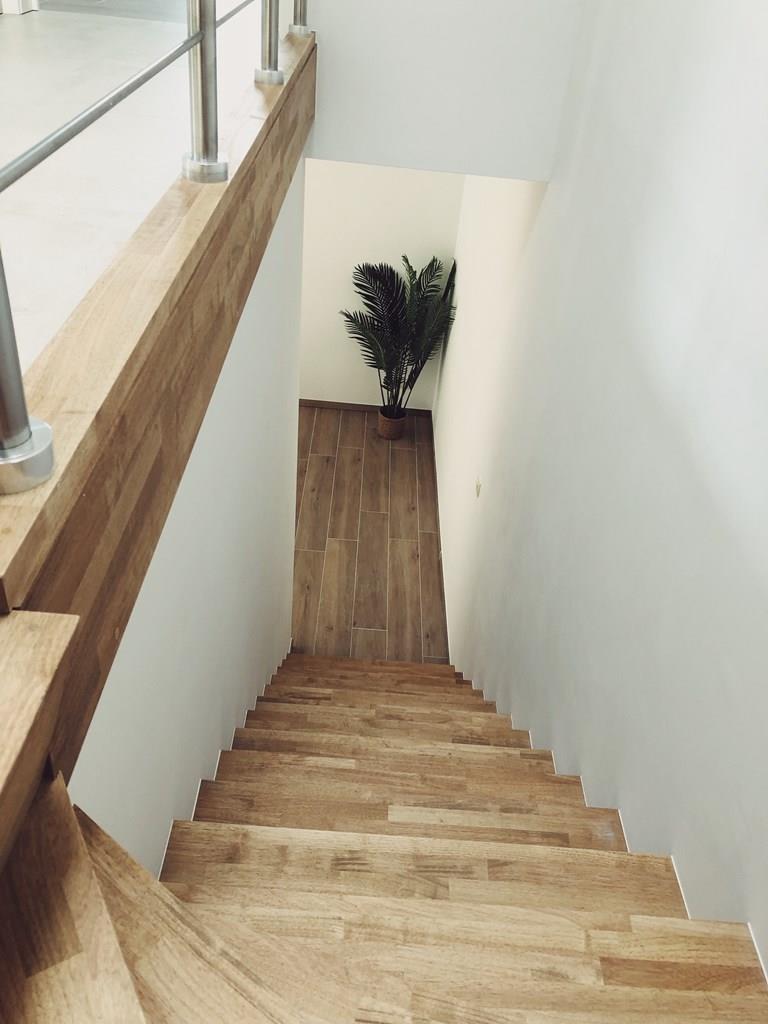 Bekijk alle afbeeldingen van Botanique en meer