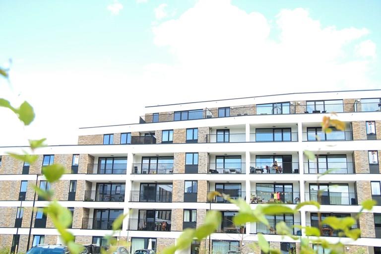 Bekijk alle afbeeldingen van Vue Verte - Jambes en meer