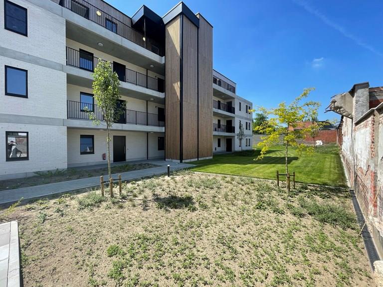 Bekijk alle afbeeldingen van Project Hoppe en meer