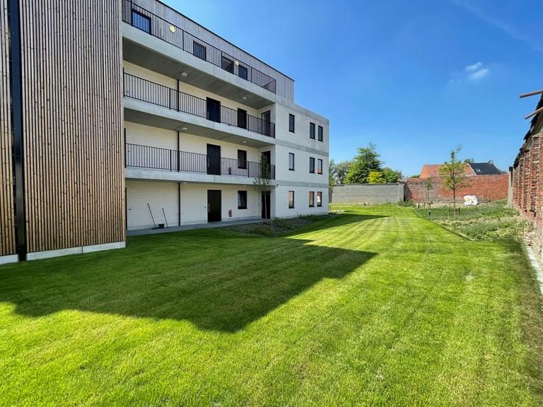 Bekijk alle afbeeldingen van Project Hoppe en meer