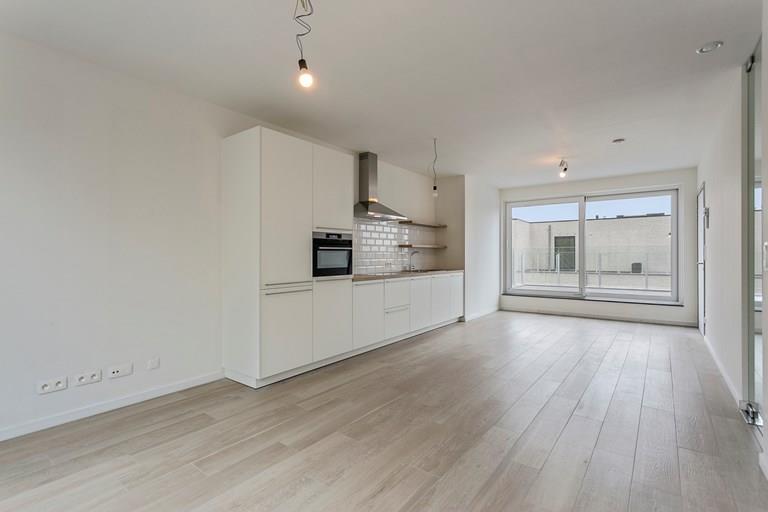 Bekijk alle afbeeldingen van Park den Blijk en meer